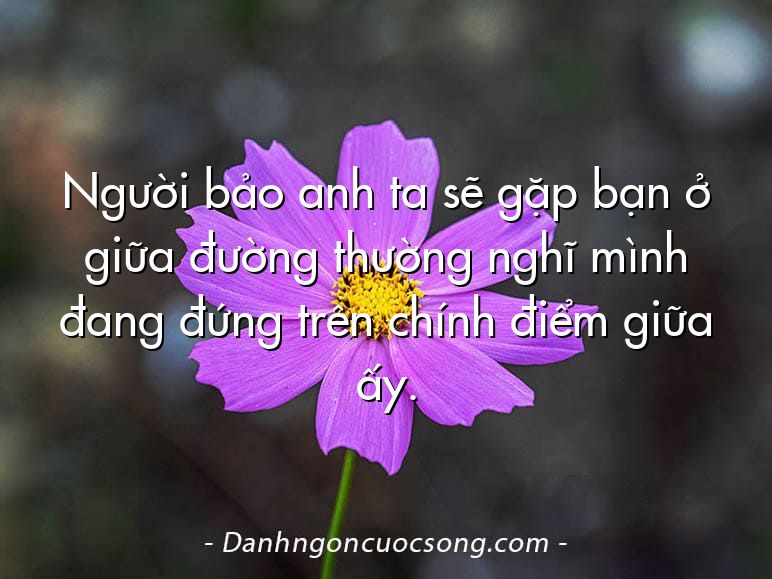 Người bảo anh ta sẽ gặp bạn ở giữa đường thường nghĩ mình đang đứng trên chính điểm giữa ấy.