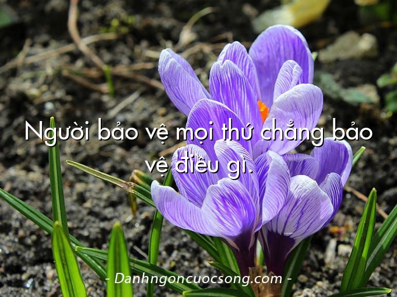 Người bảo vệ mọi thứ chẳng bảo vệ điều gì.