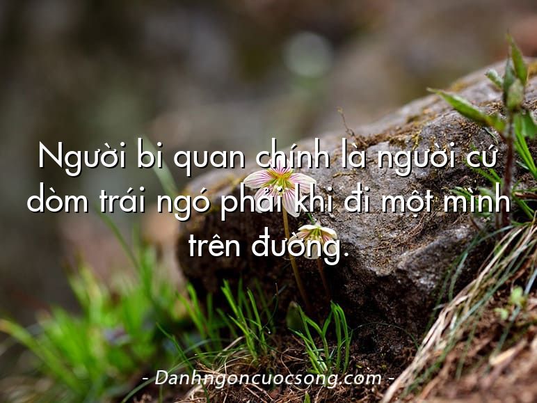 Người bi quan chính là người cứ dòm trái ngó phải khi đi một mình trên đường.