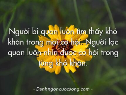 Người bi quan luôn tìm thấy khó khăn trong mọi cơ hội. Người lạc quan luôn nhìn được cơ hội trong từng khó khăn.