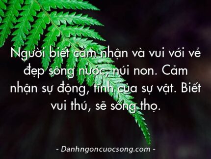 Người biết cảm nhận và vui với vẻ đẹp sông nước, núi non. Cảm nhận sự động, tĩnh của sự vật. Biết vui thú, sẽ sống thọ.