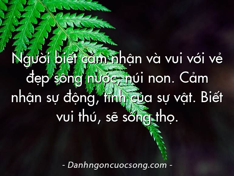 Người biết cảm nhận và vui với vẻ đẹp sông nước, núi non. Cảm nhận sự động, tĩnh của sự vật. Biết vui thú, sẽ sống thọ.