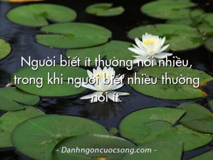 Người biết ít thường nói nhiều, trong khi người biết nhiều thường nói ít.