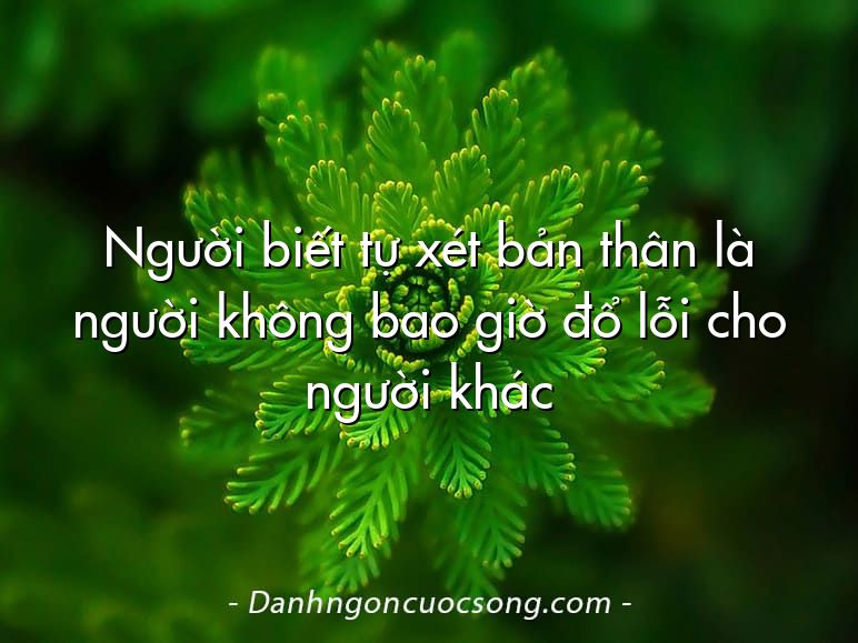Người biết tự xét bản thân là người không bao giờ đổ lỗi cho người khác