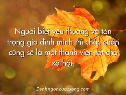 Người biết yêu thương và tôn trọng gia đình mình thì chắc chắn cũng sẽ là một thành viên tốt cho xã hội.