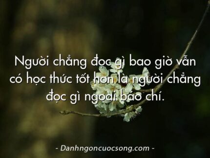 Người chẳng đọc gì bao giờ vẫn có học thức tốt hơn là người chẳng đọc gì ngoài báo chí.