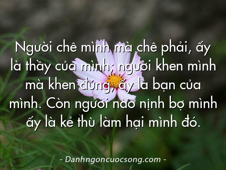 Người chê mình mà chê phải, ấy là thầy của mình; người khen mình mà khen đúng, ấy là bạn của mình. Còn người nào nịnh bợ mình ấy là kẻ thù làm hại mình đó.