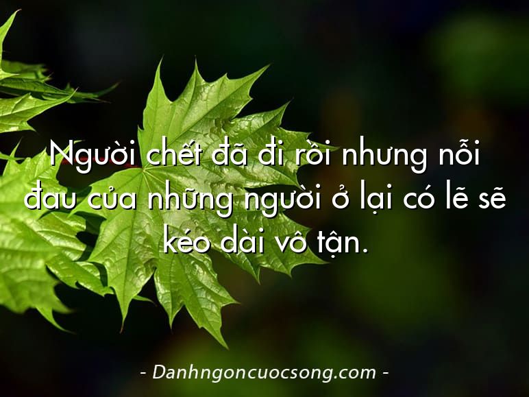 Người chết đã đi rồi nhưng nỗi đau của những người ở lại có lẽ sẽ kéo dài vô tận.