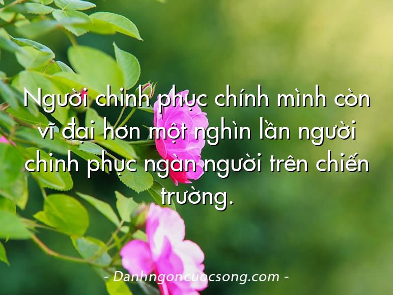 Người chinh phục chính mình còn vĩ đại hơn một nghìn lần người chinh phục ngàn người trên chiến trường.