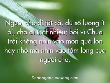 Người cho đi tất cả, dù số lượng ít ỏi, cho đi thật nhiều; bởi vì Chúa trời không nhìn vào món quà lớn hay nhỏ mà nhìn vào tấm lòng của người cho.