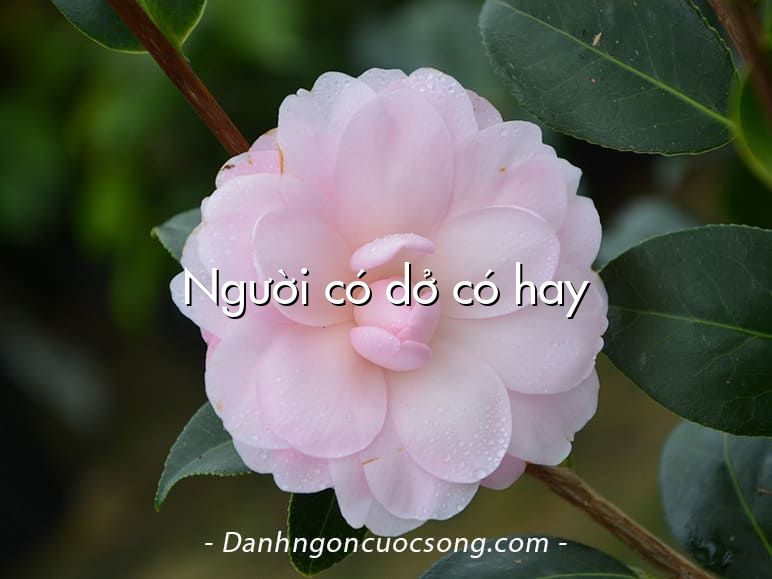 Người có dở có hay