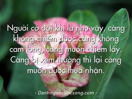 Người có đôi khi là như vậy, càng không chiếm được càng không cam lòng, càng muốn chiếm lấy. Càng bị xem thường thì lại càng muốn được thừa nhận.