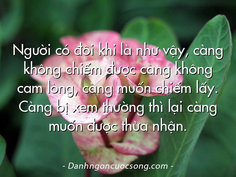 Người có đôi khi là như vậy, càng không chiếm được càng không cam lòng, càng muốn chiếm lấy. Càng bị xem thường thì lại càng muốn được thừa nhận.