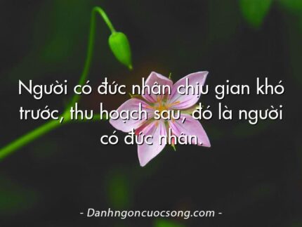 Người có đức nhân chịu gian khó trước, thu hoạch sau, đó là người có đức nhân.