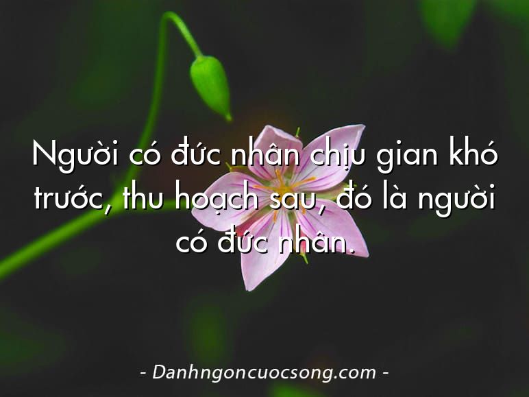 Người có đức nhân chịu gian khó trước, thu hoạch sau, đó là người có đức nhân.