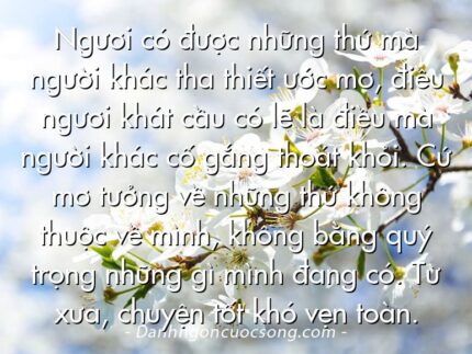 Ngươi có được những thứ mà người khác tha thiết ước mơ, điều ngươi khát cầu có lẽ là điều mà người khác cố gắng thoát khỏi. Cứ mơ tưởng về những thứ không thuộc về mình, không bằng quý trọng những gì mình đang có. Từ xưa, chuyện tốt khó vẹn toàn.