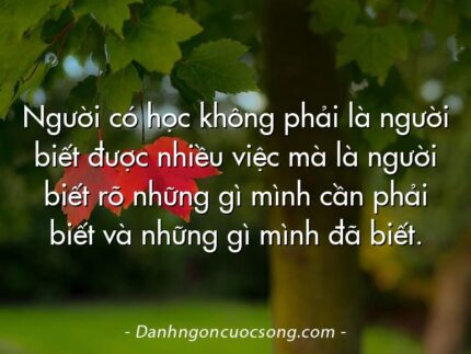 Người có học không phải là người biết được nhiều việc mà là người biết rõ những gì mình cần phải biết và những gì mình đã biết.