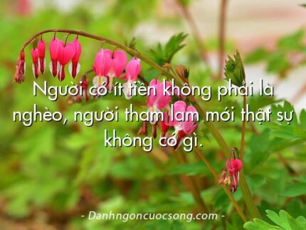 Người có ít tiền không phải là nghèo, người tham lam mới thật sự không có gì.