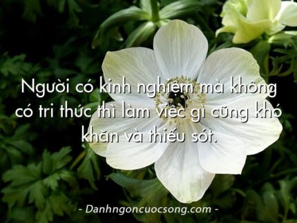 Người có kinh nghiệm mà không có tri thức thì làm viêc gì cũng khó khăn và thiếu sót.