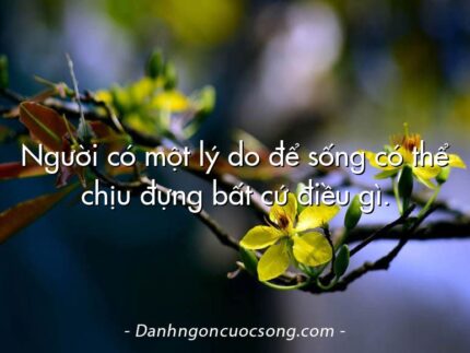 Người có một lý do để sống có thể chịu đựng bất cứ điều gì.