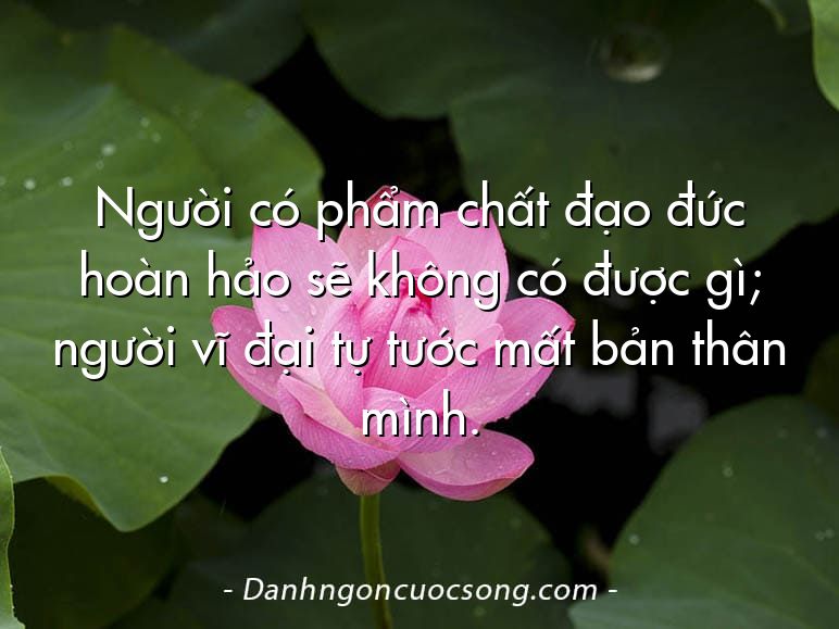Người có phẩm chất đạo đức hoàn hảo sẽ không có được gì; người vĩ đại tự tước mất bản thân mình.