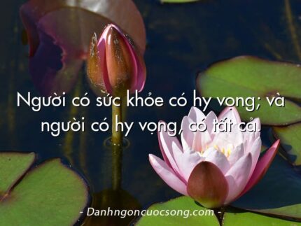 Người có sức khỏe có hy vọng; và người có hy vọng, có tất cả.