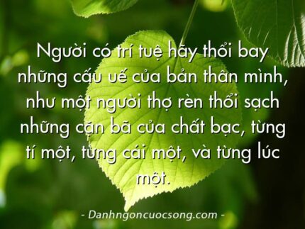 Người có trí tuệ hãy thổi bay những cấu uế của bản thân mình, như một người thợ rèn thổi sạch những cặn bã của chất bạc, từng tí một, từng cái một, và từng lúc một.