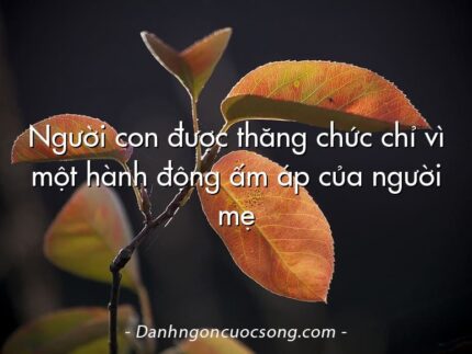 Người con được thăng chức chỉ vì một hành động ấm áp của người mẹ