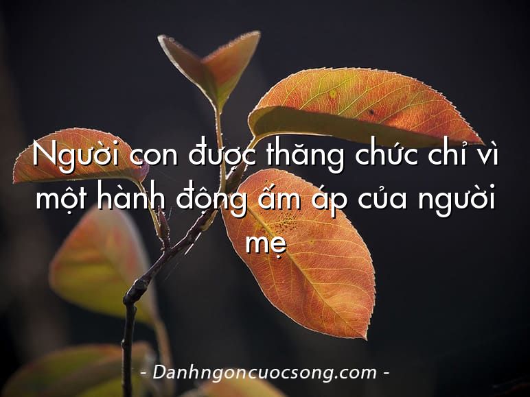 Người con được thăng chức chỉ vì một hành động ấm áp của người mẹ
