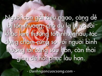 Người con gái kiêu ngạo, càng dễ bị tổn thương, cho dù là bị người khác làm thương tổn như nhau, tác dụng chậm cũng so với người bình thường tới càng sâu hơn, cần thời gian để hồi phục lâu hơn.