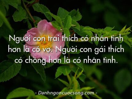 Người con trai thích có nhân tình hơn là có vợ. Người con gái thích có chồng hơn là có nhân tình.