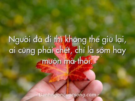 Người đã đi thì không thể giữ lại, ai cũng phải chết, chỉ là sớm hay muộn mà thôi.