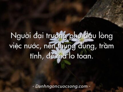 Người đại trượng phu đau lòng việc nước, nên thung dung, trầm tĩnh, để mà lo toan.