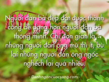 Người đàn bà đẹp đạt được thành công dễ dàng hơn người đàn bà thông minh. Chỉ đơn giản là những người đàn ông mù thì ít, bù lại những người đàn ông ngốc nghếch lại quá nhiều.