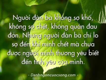 Người đàn bà không sợ khổ, không sợ chết, không quản đau đớn. Nhưng người đàn bà chỉ lo sợ đến khi mình chết mà chưa được người mình thương yêu biết đến tình yêu của mình.