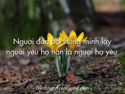 Người đàn bà thông minh lấy người yêu họ hơn là người họ yêu.