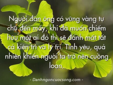 Người đàn ông có vững vàng tự chủ đến mấy, khi đã muốn chiếm hữu một ai đó thì sẽ đánh mất tất cả kiên trì và lý trí. Tình yêu, quả nhiên khiến người ta trở nên cuồng loạn.