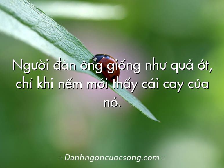 Người đàn ông giống như quả ớt, chỉ khi nếm mới thấy cái cay của nó.
