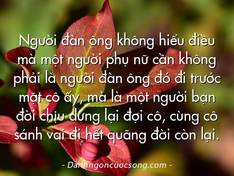 Người đàn ông không hiểu điều mà một người phụ nữ cần không phải là người đàn ông đó đi trước mặt cô ấy, mà là một người bạn đời chịu dừng lại đợi cô, cùng cô sánh vai đi hết quãng đời còn lại.
