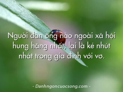 Người đàn ông nào ngoài xã hội hung hăng nhất, lại là kẻ nhút nhát trong gia đình với vơ.