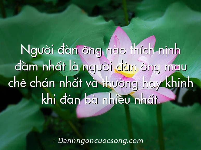 Người đàn ông nào thích nịnh đầm nhất là người đàn ông mau chê chán nhất và thường hay khinh khi đàn bà nhiều nhất.