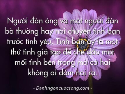 Người đàn ông và một người đàn bà thường hay nói chuyện tình bạn trước tình yêu. Tình bạn ấy là một thứ tình giả tạo để che dấu một mối tình bên trong mà cả hai không ai dám nói ra.