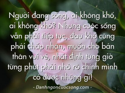 Người đang sống, ai không khổ, ai không khó? Nhưng cuộc sống vẫn phải tiếp tục, đau khổ cũng phải chấp nhận, muốn cho bản thân vui vẻ, nhất định từng giờ từng phút phải nhớ rõ chính mình có được những gì!