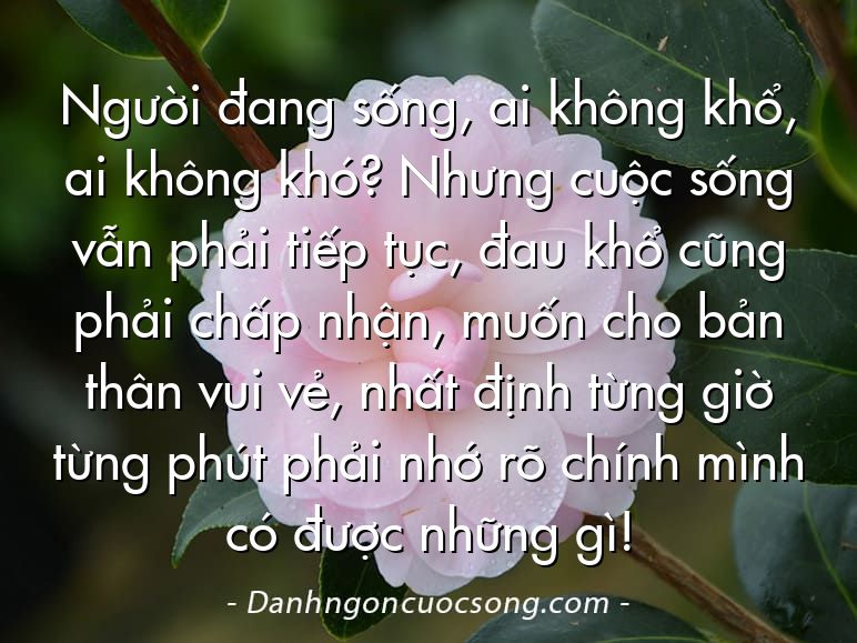 Người đang sống, ai không khổ, ai không khó? Nhưng cuộc sống vẫn phải tiếp tục, đau khổ cũng phải chấp nhận, muốn cho bản thân vui vẻ, nhất định từng giờ từng phút phải nhớ rõ chính mình có được những gì!