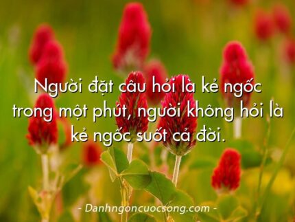 Người đặt câu hỏi là kẻ ngốc trong một phút, người không hỏi là kẻ ngốc suốt cả đời.