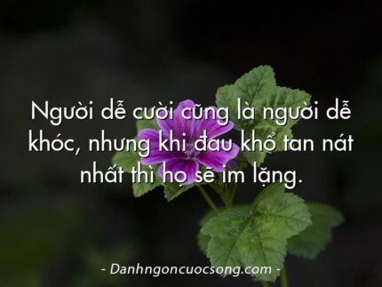 Người dễ cười cũng là người dễ khóc, nhưng khi đau khổ tan nát nhất thì họ sẽ im lặng.