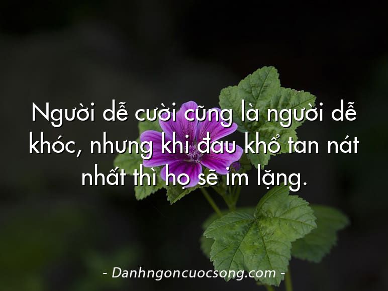 Người dễ cười cũng là người dễ khóc, nhưng khi đau khổ tan nát nhất thì họ sẽ im lặng.