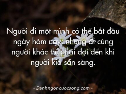 Người đi một mình có thể bắt đầu ngày hôm nay; nhưng đi cùng người khác thì phải đợi đến khi người kia sẵn sàng.