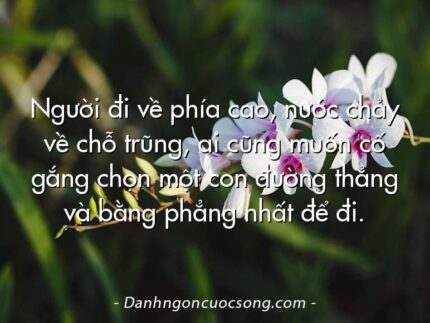Người đi về phía cao, nước chảy về chỗ trũng, ai cũng muốn cố gắng chọn một con đường thẳng và bằng phẳng nhất để đi.
