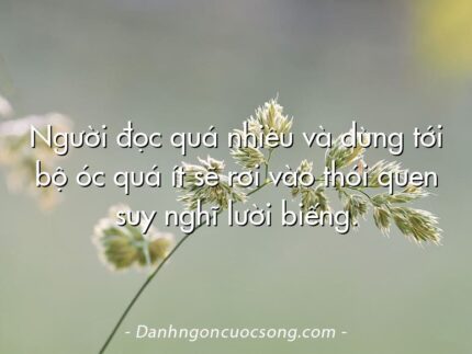 Người đọc quá nhiều và dùng tới bộ óc quá ít sẽ rơi vào thói quen suy nghĩ lười biếng.